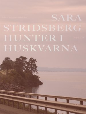 cover image of Hunter i Huskvarna